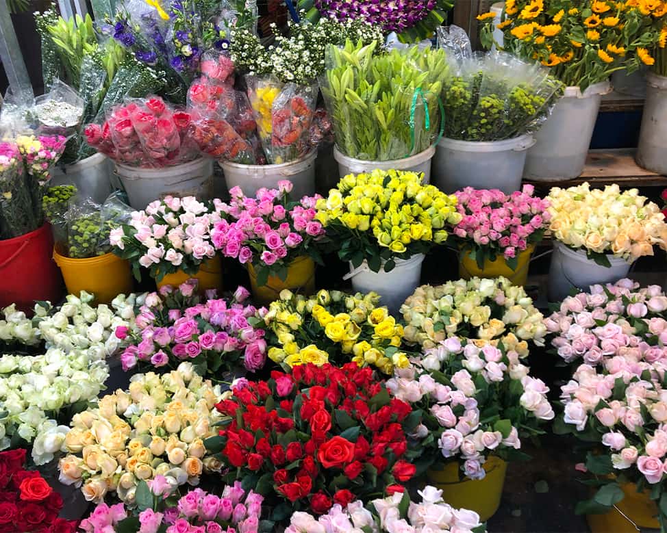 chợ hoa tươi hồ thị kỷ