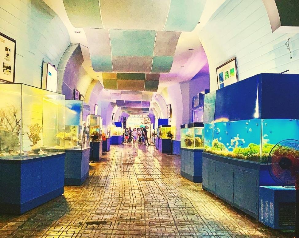 Khu trưng bày sinh vật biển (@pivienay)
