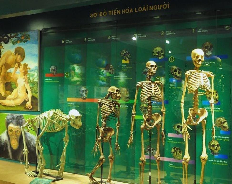 Bảo tàng thiên nhiên Việt Nam 05