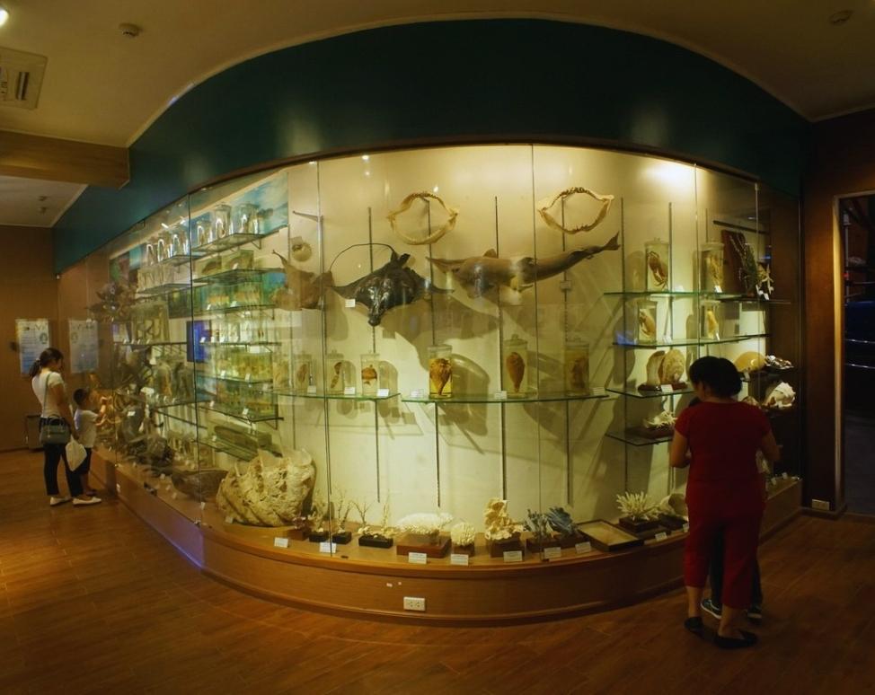 Bảo tàng thiên nhiên Việt Nam 08