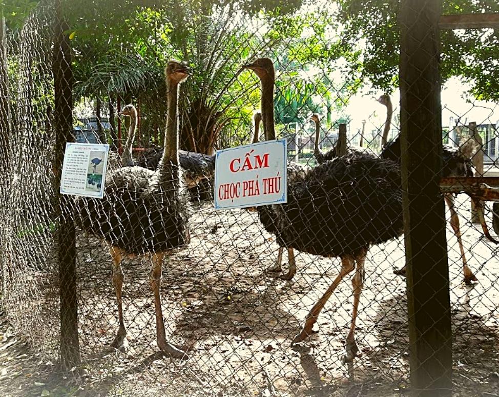 Ảnh vườn chim tại vườn thú công viên nước Củ Chi 