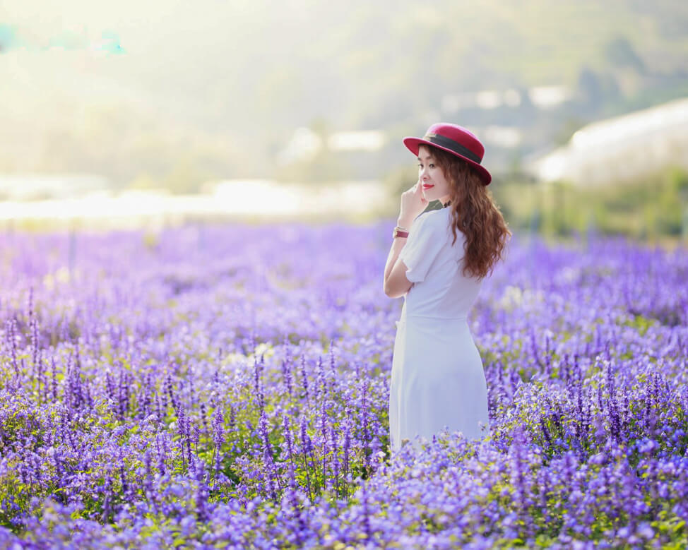 Check in vườn hoa Lavender hồ Tuyền Lâm