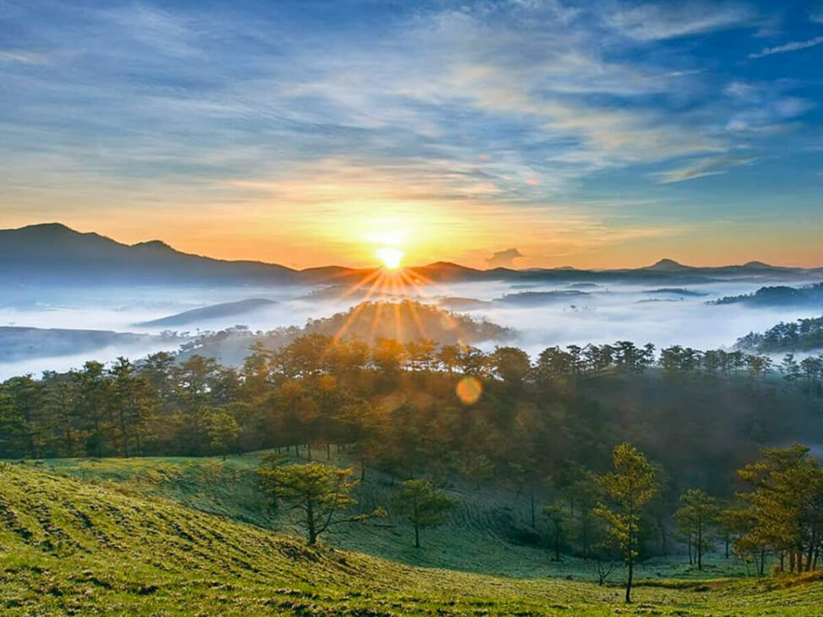 Đồi Thông Đa Phú - Khám phá địa điểm săn mây đẹp nhất Đà Lạt