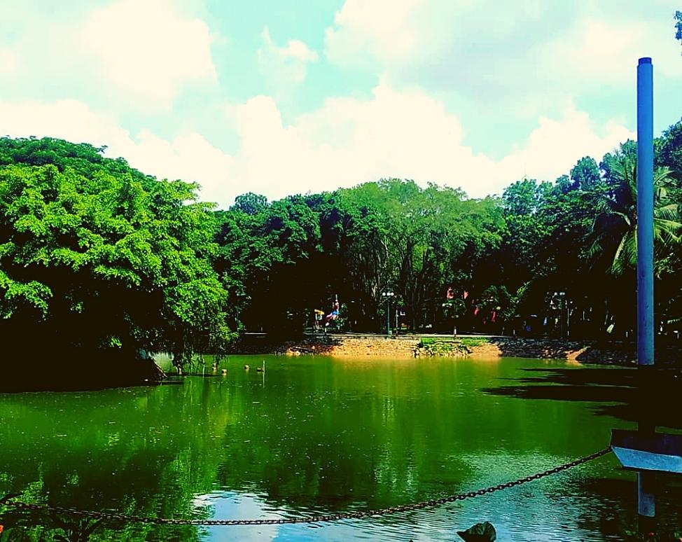 Hình ảnh công viên Phú Lâm (@jkdantes)