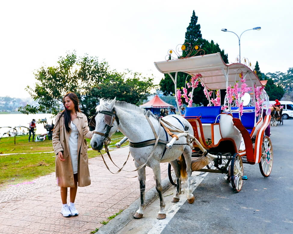 Đi xe ngựa quanh hồ Xuân Hương