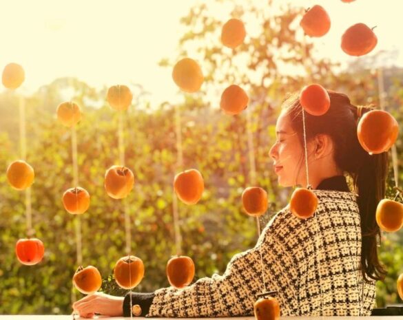 Hình ảnh vườn hồng nhà Tom