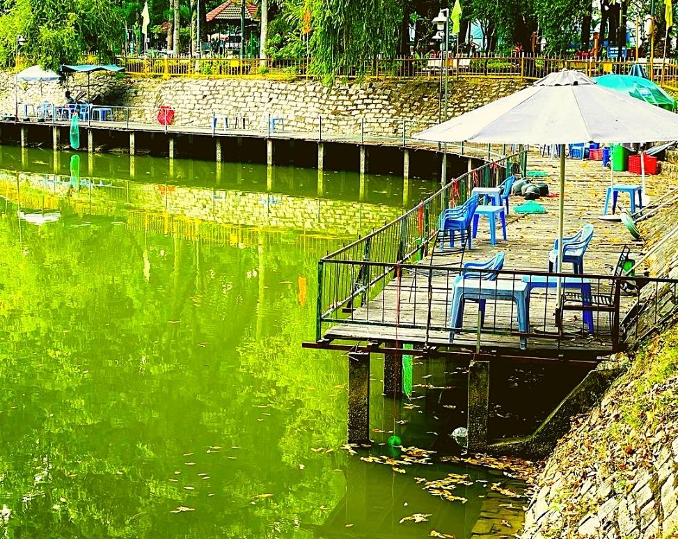 Hồ cá tại công viên Hoàng Văn Thụ 