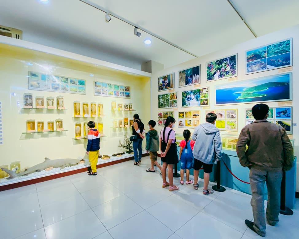 bảo tàng đà nẵng 24 trần phú