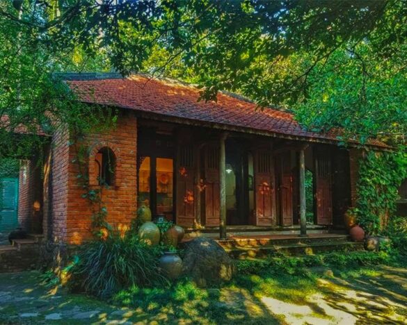 bảo tàng đồng đình bảo tàng đồng đình