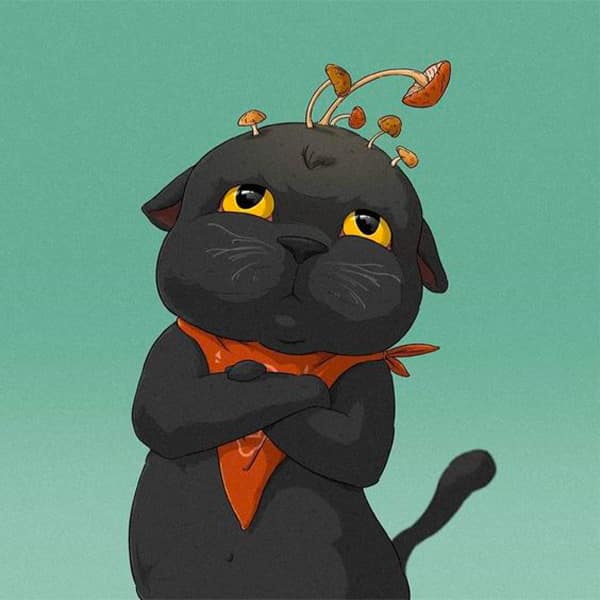 avatar đôi con mèo anime