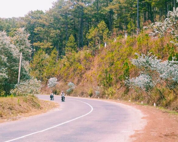 đường đèo mimosa đà lạt